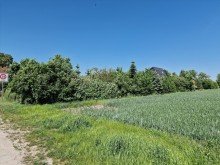 Feldrandlage Wundersch�nes Grundst�ck in Feldrandlage von R�tgesb�ttel