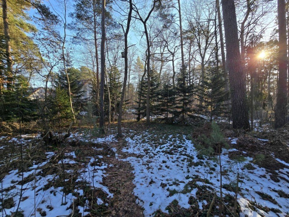 Grundst�ck II Einfamilienhaus Gifhorn