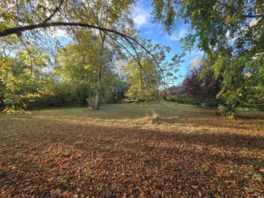 Garten 2 Einfamilienhaus Meine