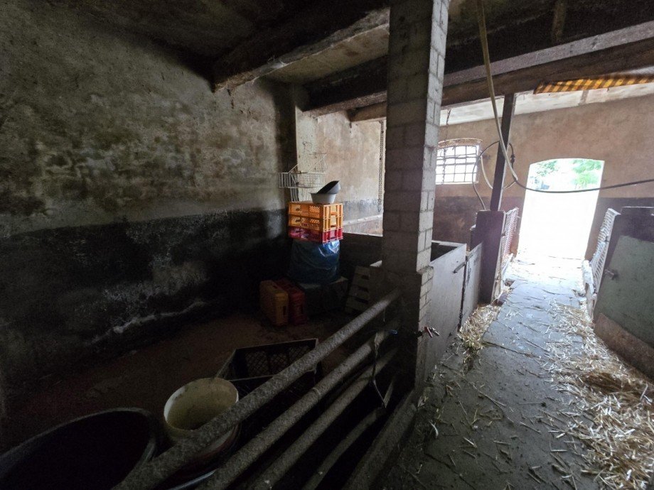 Stall Bauernhaus Calberlah