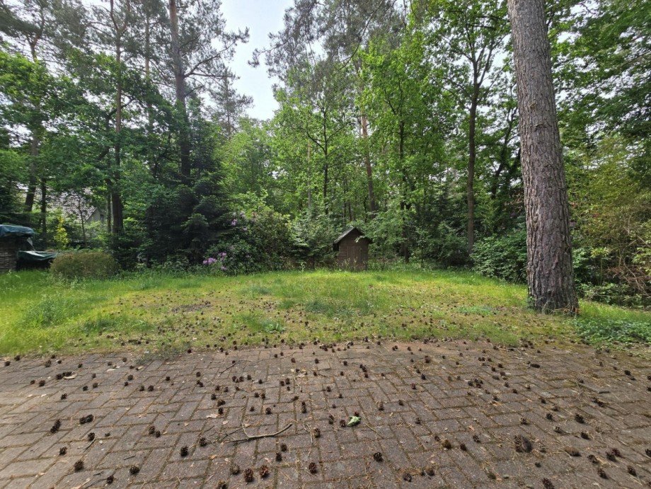 Garten Einfamilienhaus Gifhorn